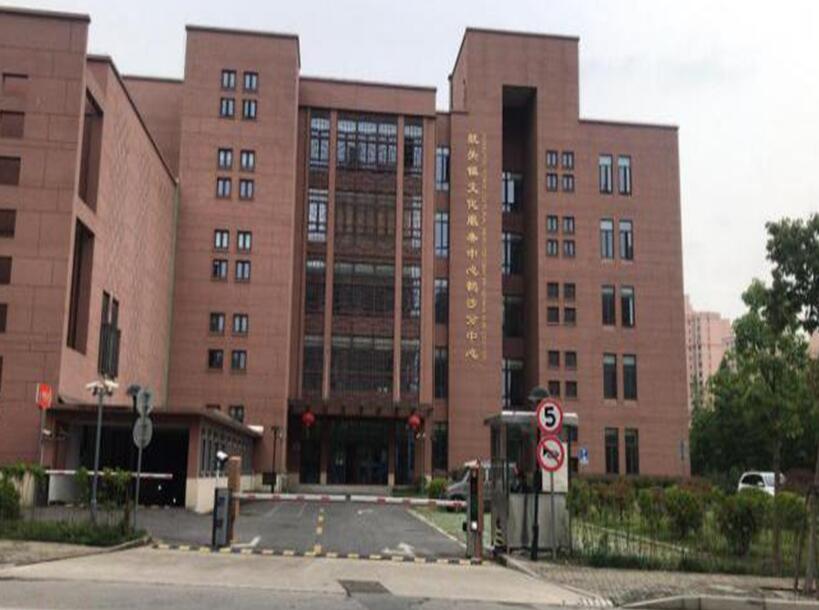 上海市闵行区虹桥镇城投